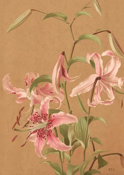 Lilies by Ellen Fisher, 1886 — digital art print download