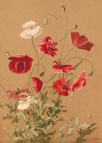 Poppies by Ellen Fisher, 1886 — digital art print download