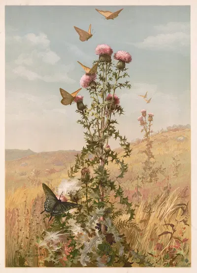 Thistle by Fidelia Bridges, 1886 — digital art print download