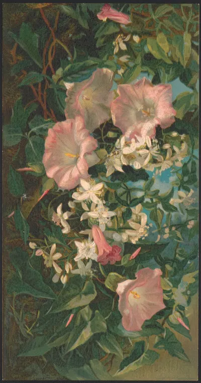Wild morning glories and clematis by Julia Mcentee Dillon, 1882 — digital art print download