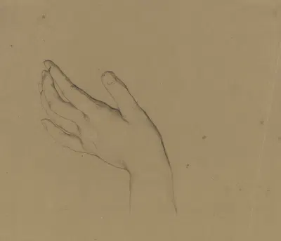 Ausgestreckte linke Hand einer Frau by Виктор Мюллер — digital art print download