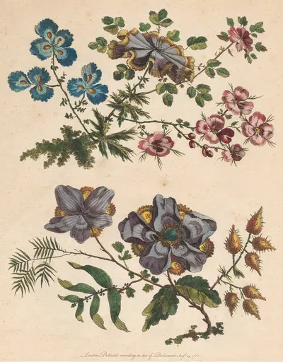 Two Sprays of Imaginary Flowers by Жан-Батист Пилеман, 1760 — digital art print download
