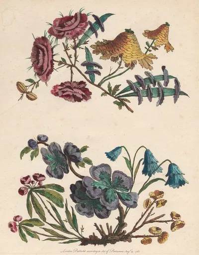 Two Sprays of Imaginary Flowers by Жан-Батист Пилеман, 1760 — digital art print download