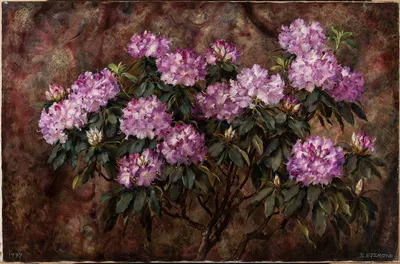 Rododendrony by Stanisław Ejsmond, 1939 — digital art print download