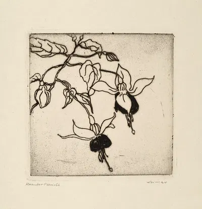 Fuchsien by Alexander Olbricht, 1912 — digital art print download