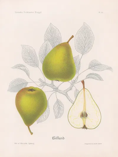 Giffard by Henriette Sjöberg, 1924 — digital art print download
