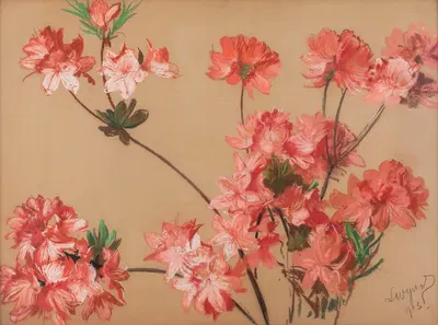 Pink asalea by Леон Вычулковский, 1903 — digital art print download