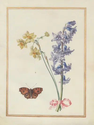 Collection of flower drawings Pl.07 by Madeleine-Françoise Basseporte, 1750 — digital art print download