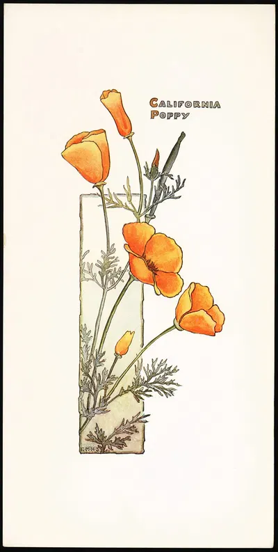 California Poppy by Elizabeth Moore Hallowell, 1905 — digital art print download