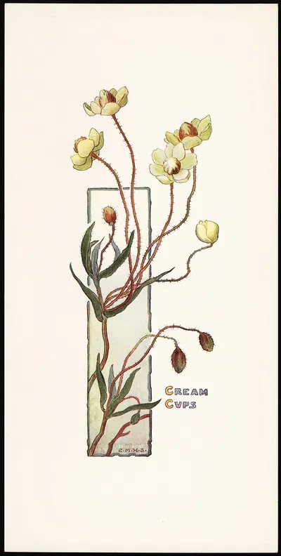 Cream Cups by Elizabeth Moore Hallowell, 1905 — digital art print download