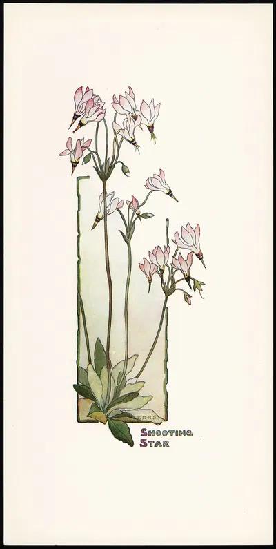 Shooting Star by Elizabeth Moore Hallowell, 1905 — digital art print download