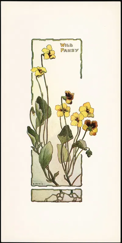 Wild Pansy by Elizabeth Moore Hallowell, 1905 — digital art print download