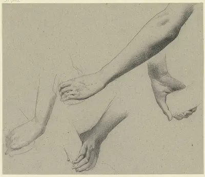 Studies of arms and hands by Wilhelm Gentz, 1844 — digital art print download