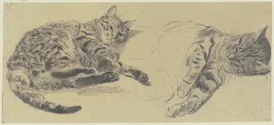 Studies of cats by Wilhelm Gentz, 1856 — digital art print download