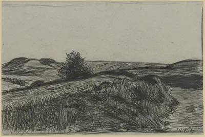 Raised bog by Wilhelm Kalb — digital art print download