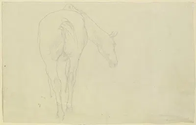 Pferd in Rückansicht, den Kopf nach rechts geneigt by Wilhelm Rietschel — digital art print download