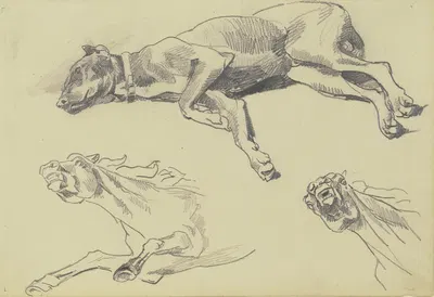 Studienblatt; Die Dogge Cäsar, auf der Seite liegend nach links, schlafend; darunter zwei Pferdestudien in starker…