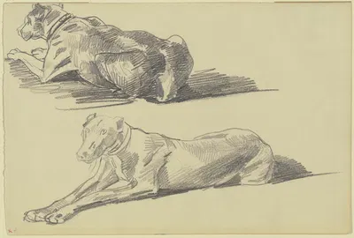 Studienblatt; Die Dogge Cäsar, liegend nach links by Вильгельм Трюбнер — digital art print download