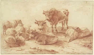 Gruppe von drei Ochsen und sechs Schafen by Willem Romeyn — digital art print download