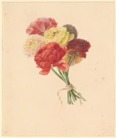 Een boeket renonkels by Albertus Jonas Brandt, 1800-1821 — digital art print download