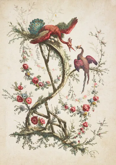 Ornament. Chinoiserie. Flowers and Birds by Жан-Батист Пилеман, 1770 — digital art print download