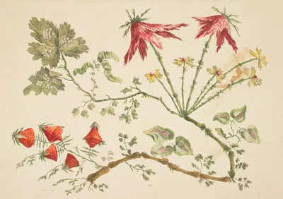 Ornament. Chinoiserie. Flowers by Жан-Батист Пилеман, 1760 — digital art print download