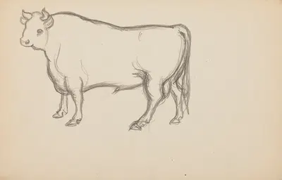 Études d'animaux, de paysages et de modèles by Eric Forbes-Robertson — digital art print download