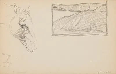 Études d'animaux, de paysages et de modèles by Eric Forbes-Robertson — digital art print download