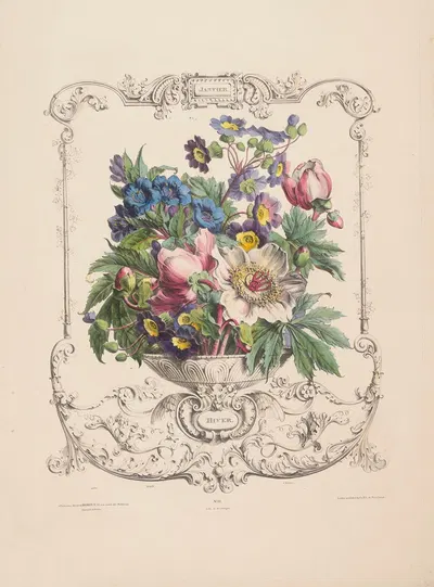 Flore des quatre saisons Pl.10 by Louis-Pierre Schilt, 1835 — digital art print download