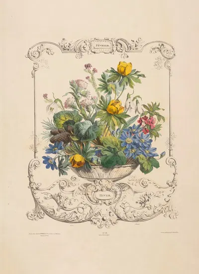 Flore des quatre saisons Pl.11 by Louis-Pierre Schilt, 1835 — digital art print download