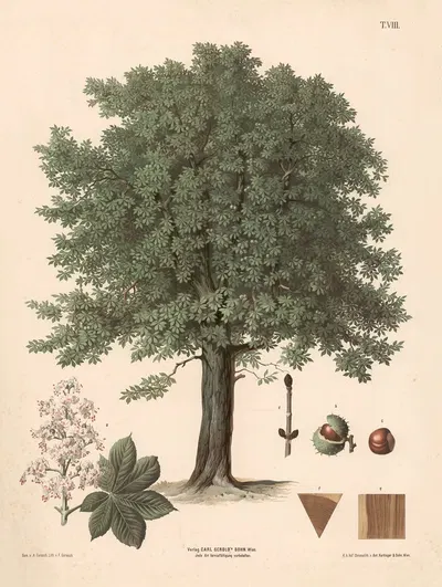 Hestekastanje by Август Гераш, 1889 — digital art print download