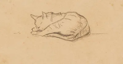 Kleine Katzenstudie by Франц Марк — digital art print download