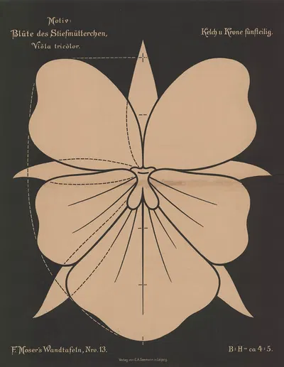 Blüte des Stiefmütterchen (Vióla tricolor) by Ferdinand Moser, 1892 — digital art print download