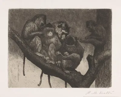 Five monkeys in a tree by Генрих М. Краббе, 1878 - 1888 — digital art print download
