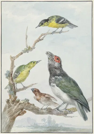 Four Different Birds on a Branch by Аерт Шоуман — digital art print download