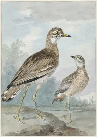 Twee grielen by Аерт Шоуман, 1777 — digital art print download