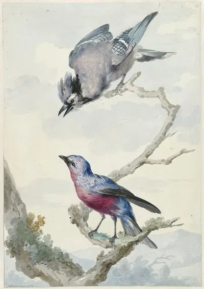 Twee vogels; een blauwe gaai en een purperborstcotinga by Аерт Шоуман, 1760 — digital art print download
