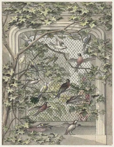 Volière met veertien vogels by Аерт Шоуман, 1720 - 1792 — digital art print download