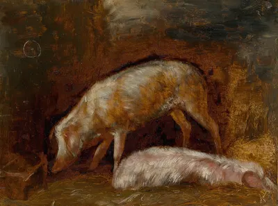 Study of Pigs by Александр-Габриэль Декамп, 1850 — digital art print download