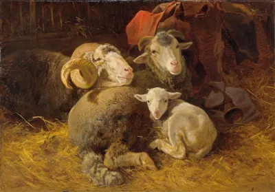 Sheep in the stable by Антон Шрёдль — digital art print download