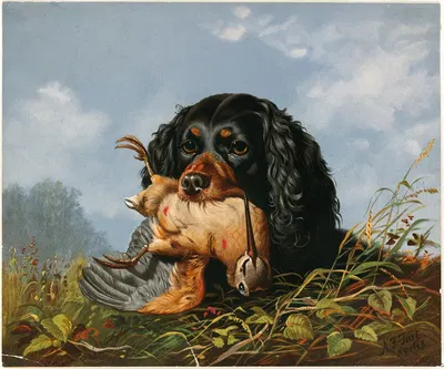 Spaniel and Woodcock by Артур Фицвильям Тейт — digital art print download