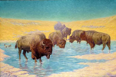Buffalo Scene by Эмиль В. Лендерс, 1922 — digital art print download