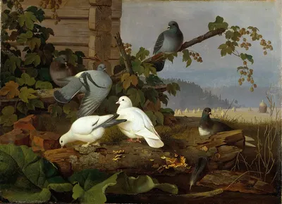 Pigeons by Фердинанд фон Райт — digital art print download