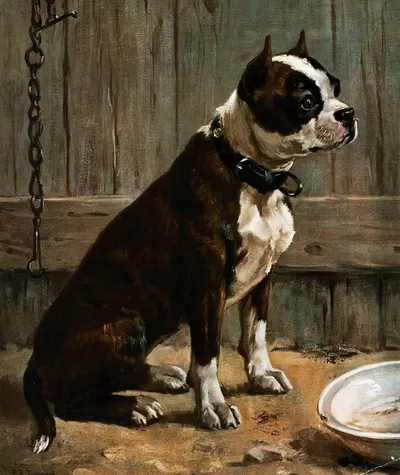 Terrier Seated by Frances Townsend — digital art print download