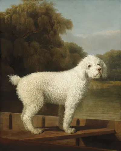 White Poodle in a Punt by George Stubbs, c. 1780 — digital art print download