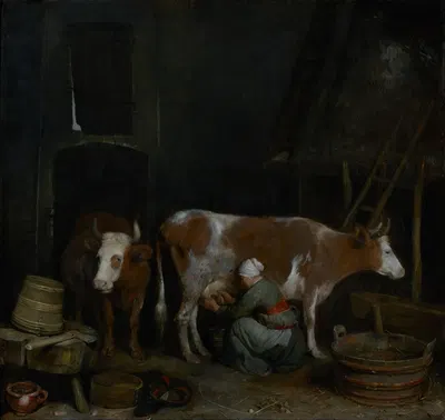 A Maid Milking a Cow in a Barn by Жерар тер Борх, 1652–1654 — digital art print download