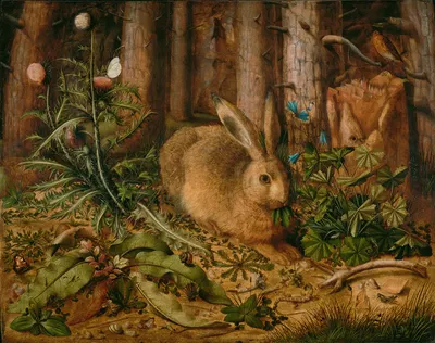 A Hare in the Forest by Hans Hoffmann — digital art print download