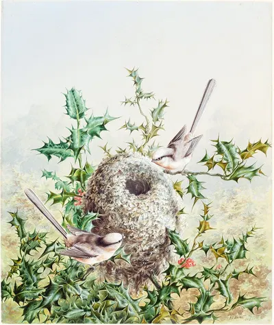 Coral Buntings and Their Nest in a Holly Tree by Harry Bright, 1878 — digital art print download