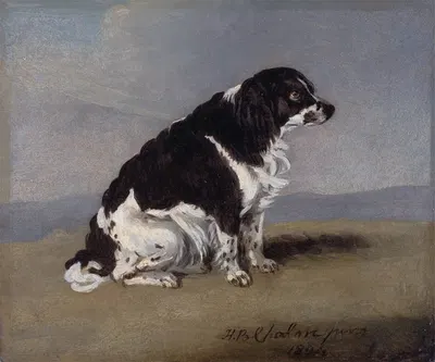 The Duchess of York's Spaniel by Henry Bernard Chalon, 1804 — digital art print download
