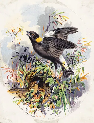 Bird Family in Nest Among Grasses by Генри Уокер Херрик, 1875 — digital art print download